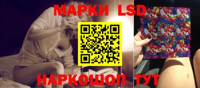прущие грибы Можга