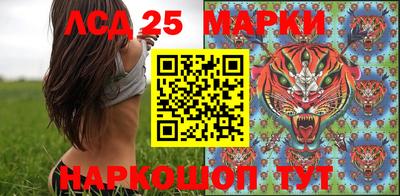 прущие грибы Можга