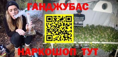 прущие грибы Можга