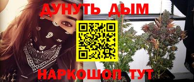 прущие грибы Можга