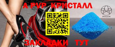 прущие грибы Можга