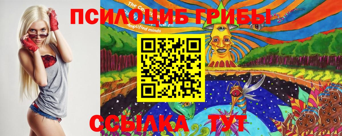 Псилоцибиновые грибы мухоморы  Вход с VPN  Белая Калитва  Псилоцибиновые грибы MAGIC MUSHROOMS 